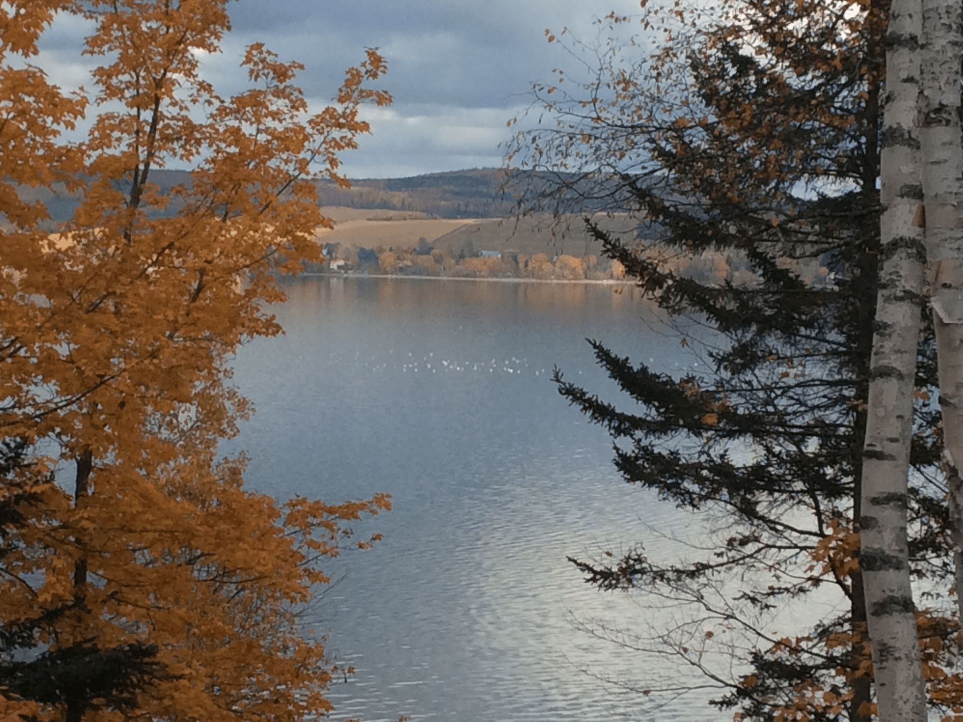 Terrains Témiscouata sur le lac