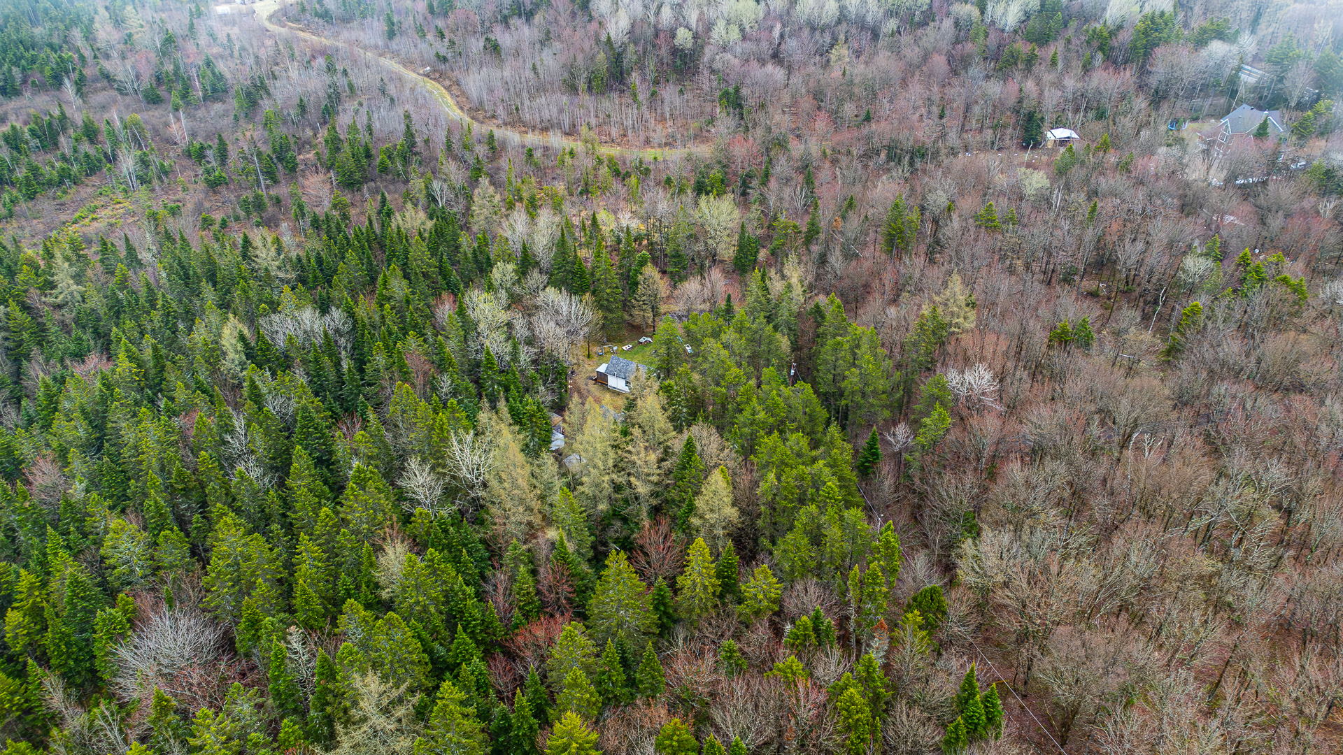Terrain à vendre à Saint-Damien-de-Buckland- route de Saint-Malachie- Équipe Jean-François Morin-Courtiers Immobiliers