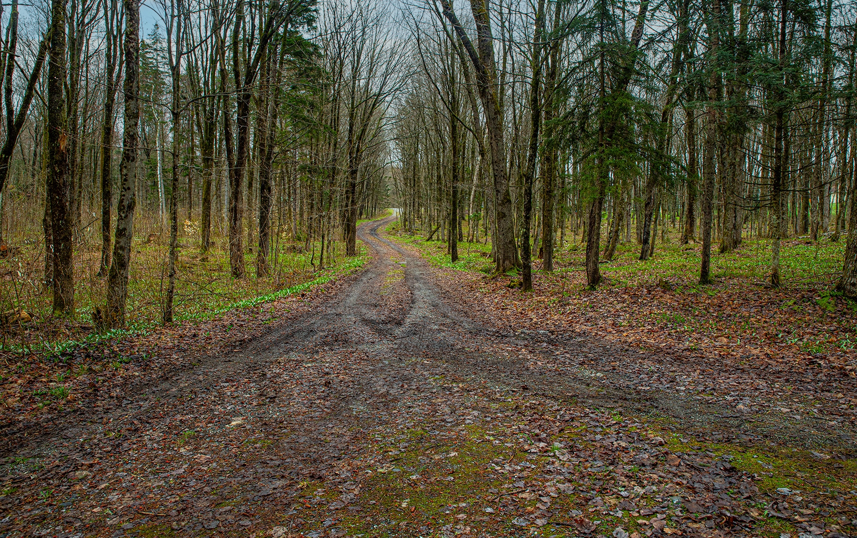 Terrain à vendre à Saint-Damien-de-Buckland- route de Saint-Malachie- Équipe Jean-François Morin-Courtiers Immobiliers