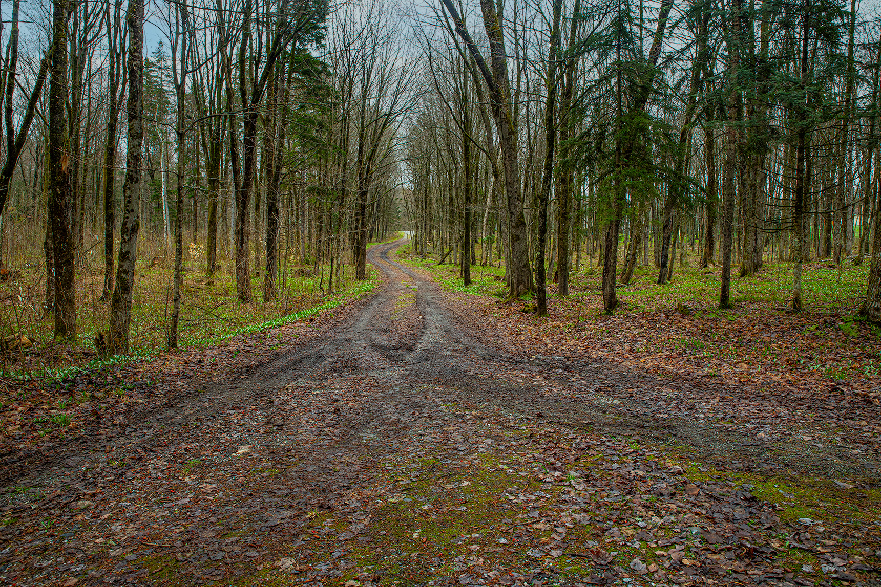 Terrain à vendre à Saint-Damien-de-Buckland- route de Saint-Malachie- Équipe Jean-François Morin-Courtiers Immobiliers