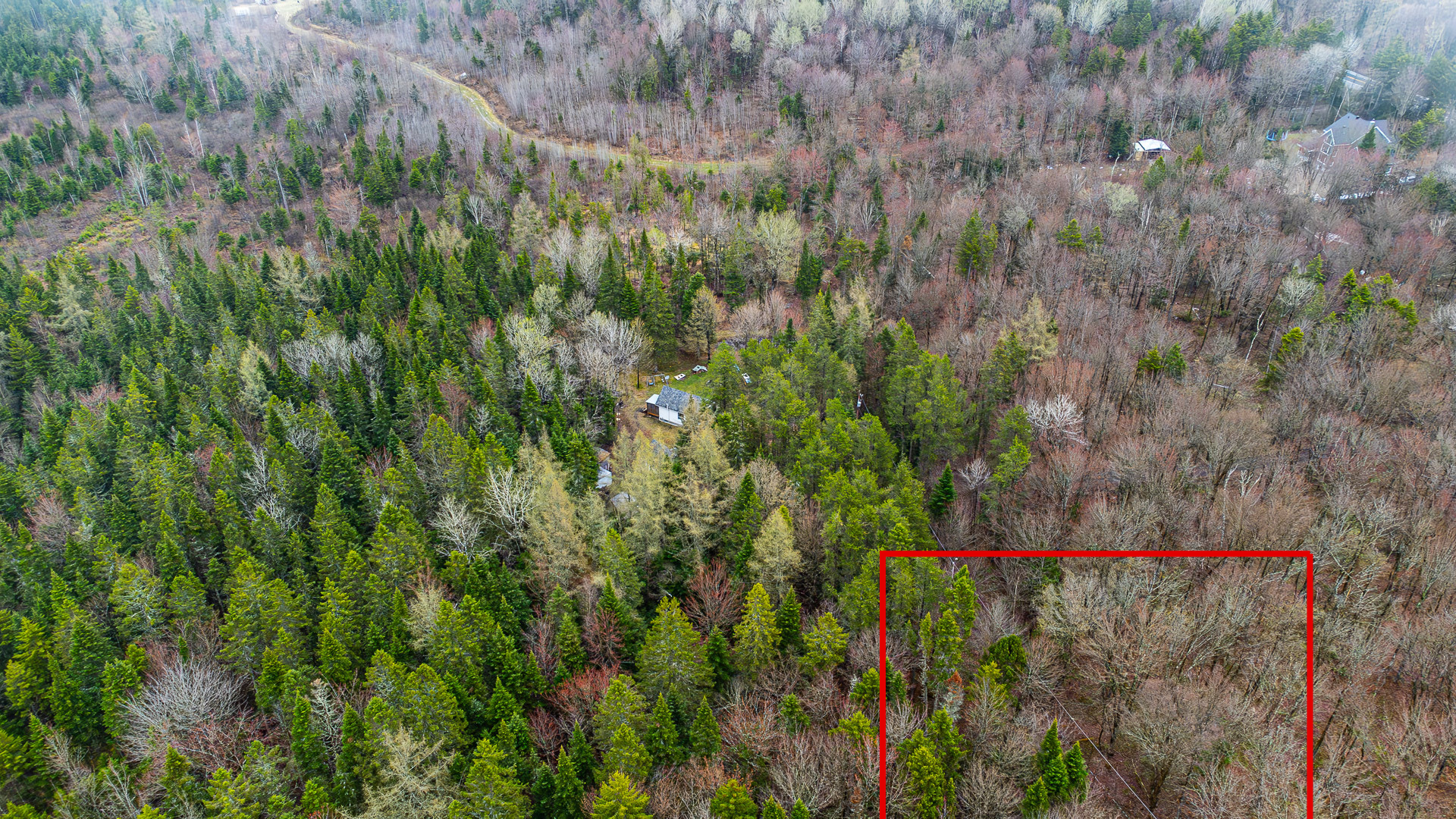 Terrain à vendre à Saint-Damien-de-Buckland- route de Saint-Malachie- Équipe Jean-François Morin-Courtiers Immobiliers