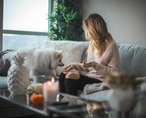 image de Propriété animaux acceptés Québec