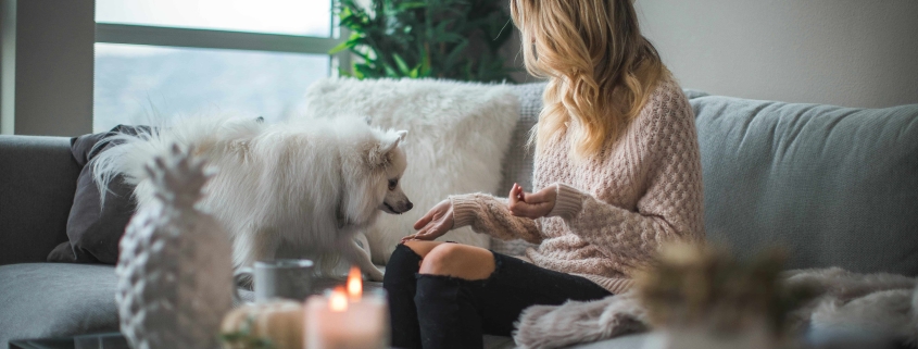 image de Propriété animaux acceptés Québec